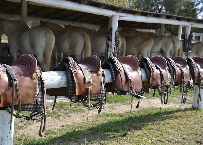 Hotel Mas De Sylvéréal