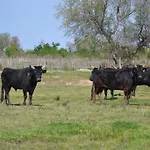 Mas De